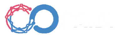 SAIDI Cloud Logo
